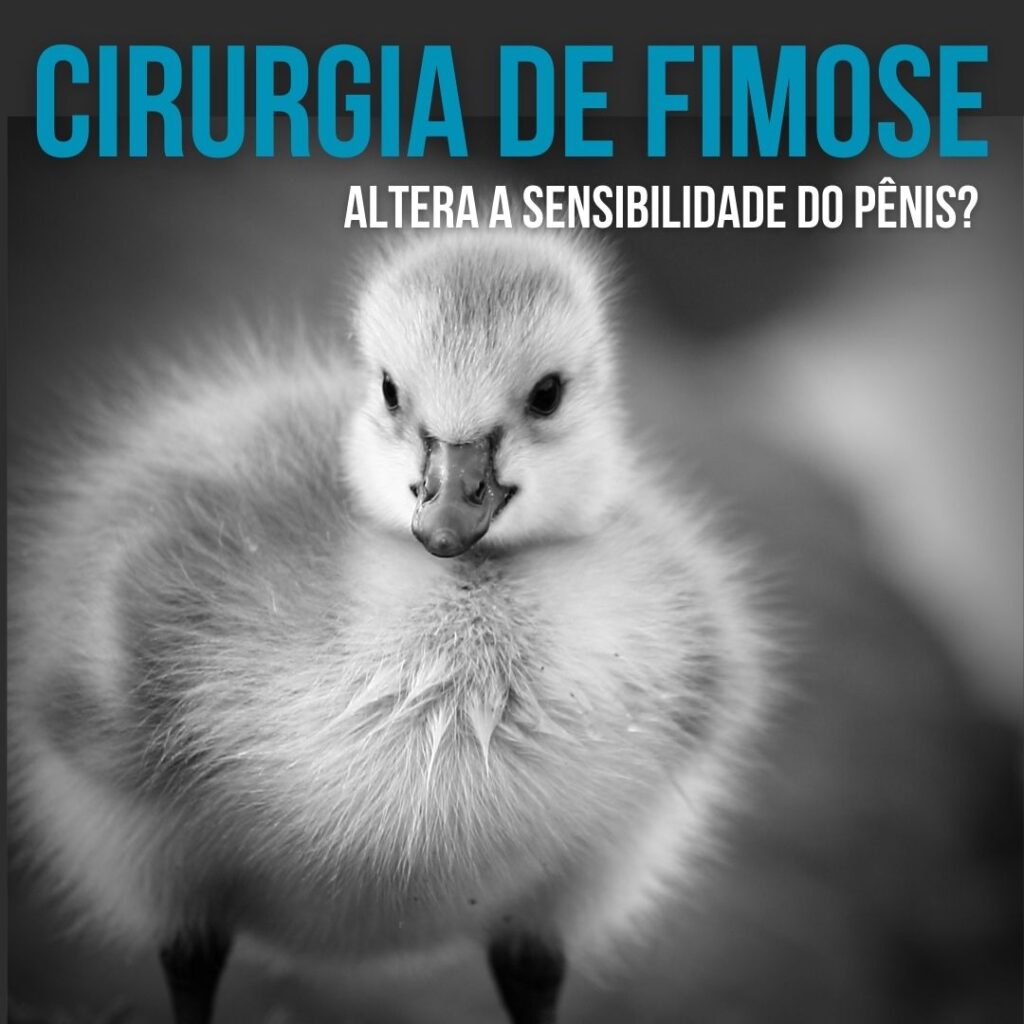 Cirurgia de fimose altera a sensibilidade do pênis? – Dr Paulo Esteves